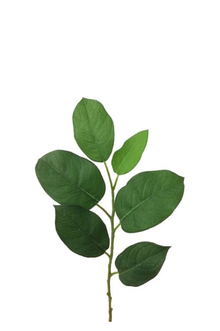 Blad