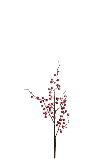 Berry twig
