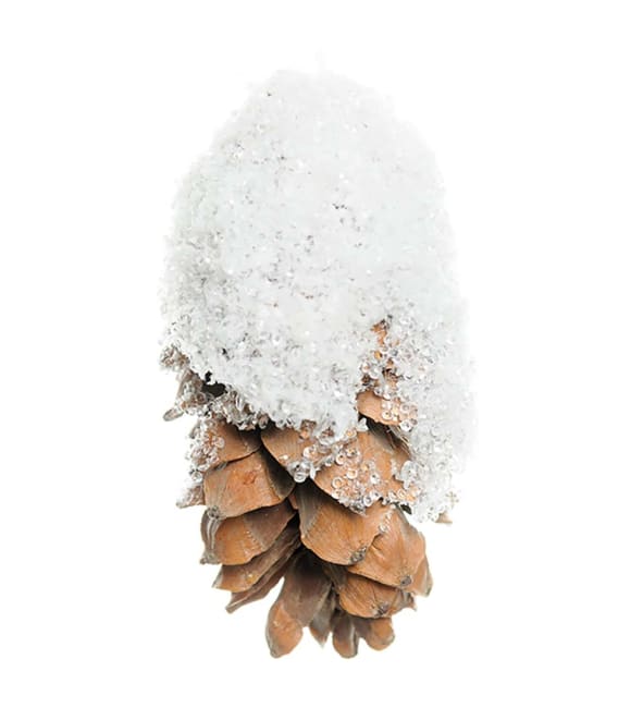 Kotte med snö
