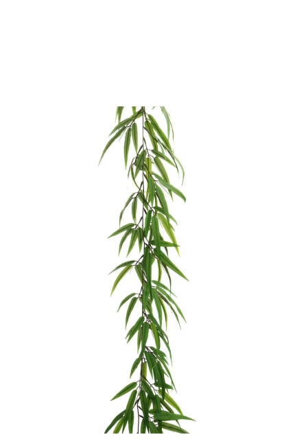 Bambu
