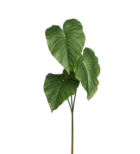 Blad
