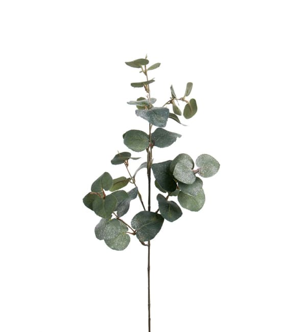 Eucalyptus med is