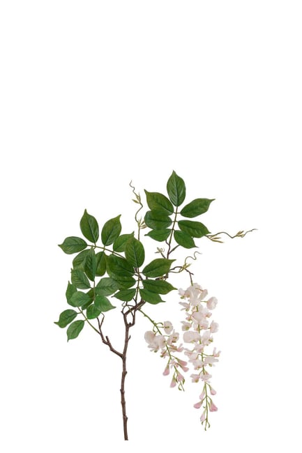 Visteria