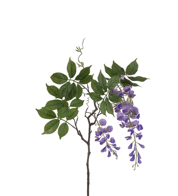 Visteria