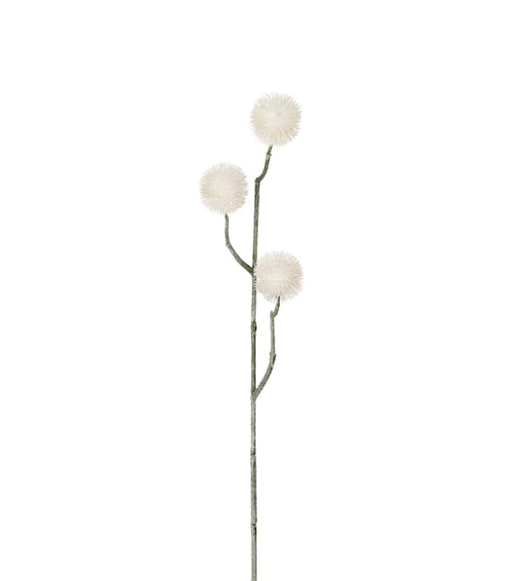 Eternell