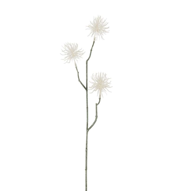 Eternell