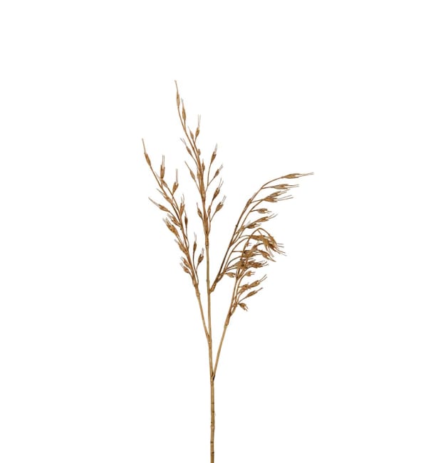 Gräs