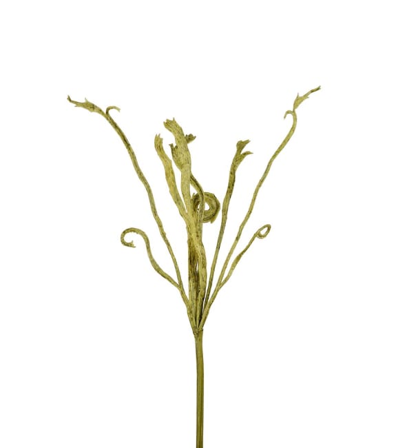 Plattpil