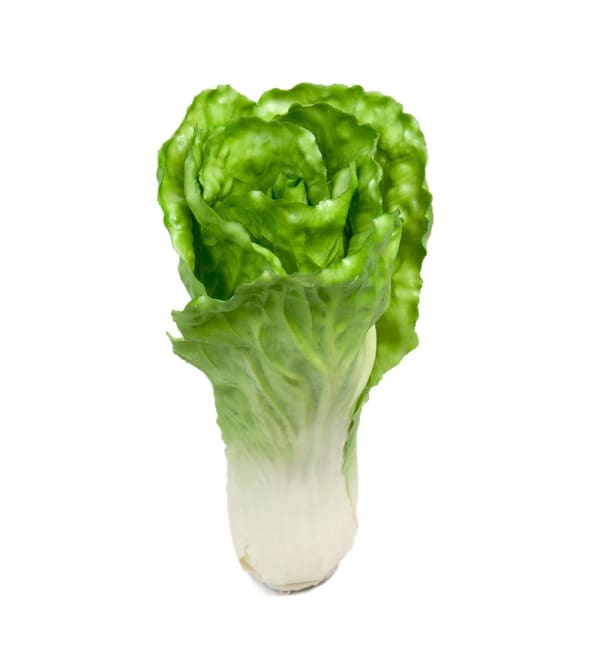Salladskål