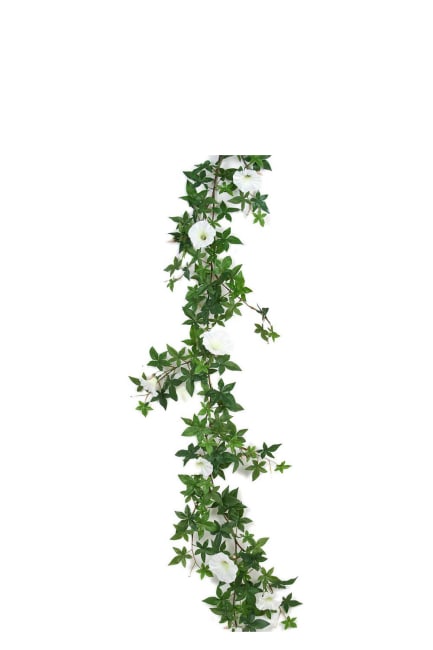 Blomma för dagen