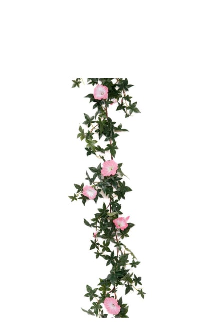 Blomma för dagen