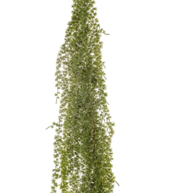 Lärkgirlang