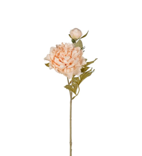 Pion