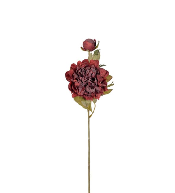 Pion