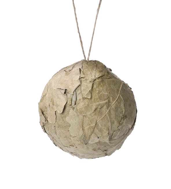 Julkula Maple