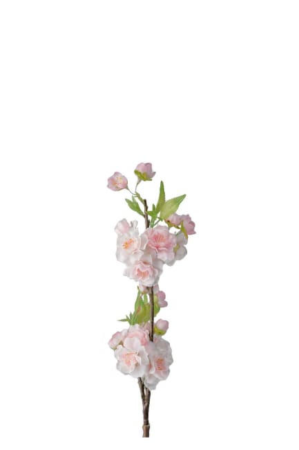 Kirsebærblomst