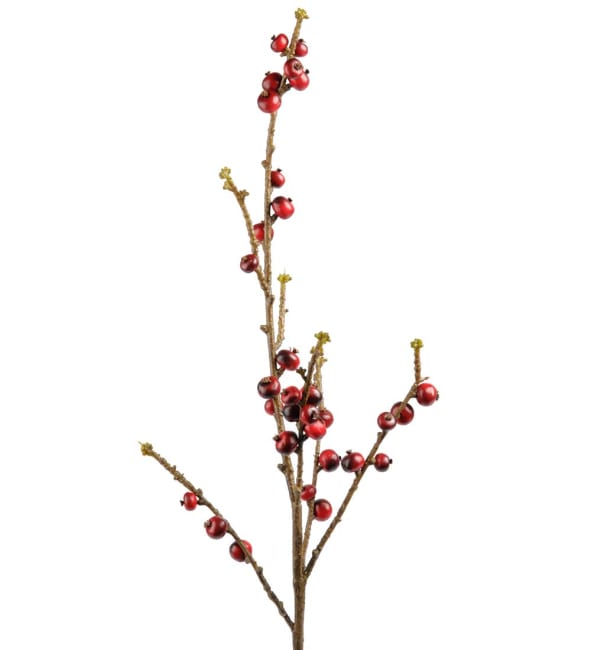 Bärkvist