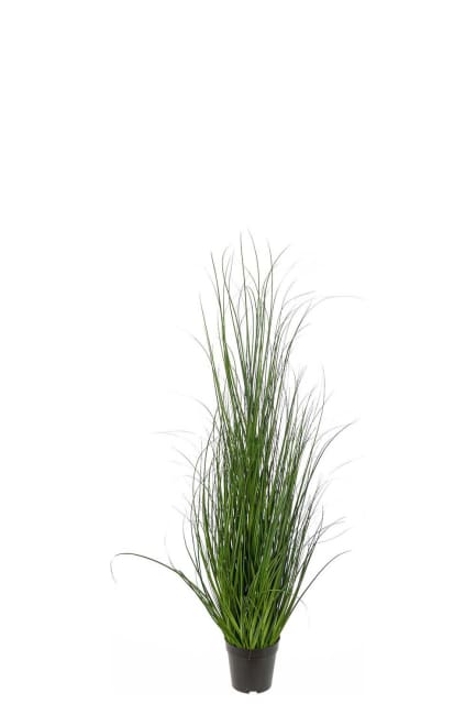 Gräs