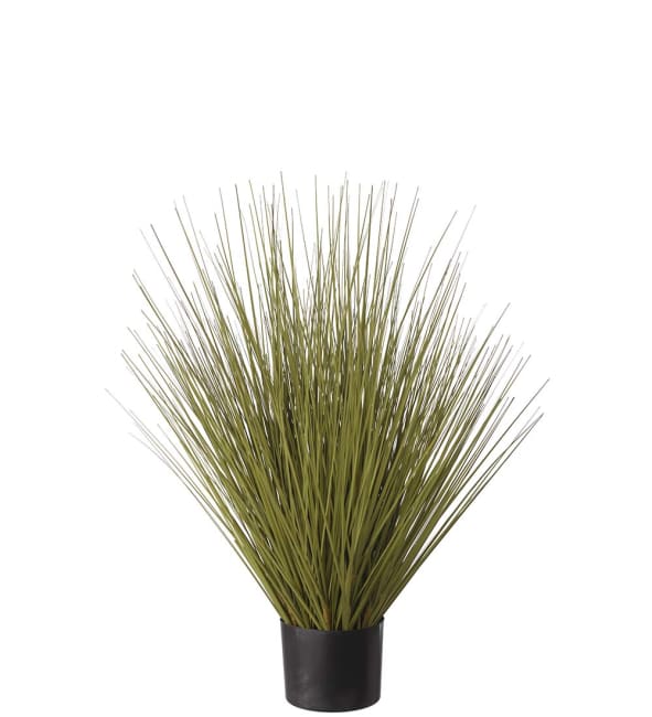 Gräs