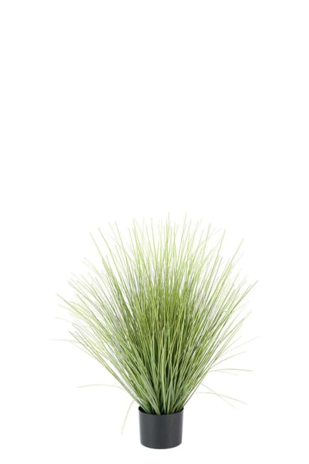 Gräs