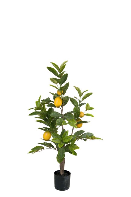 Citron