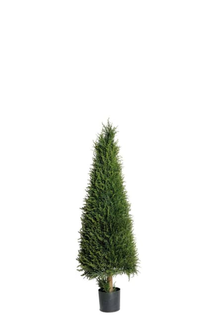 En