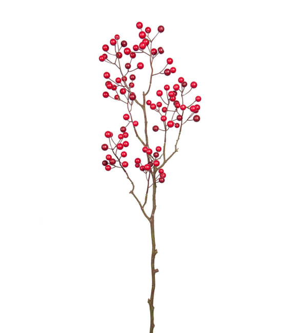 Bärkvist