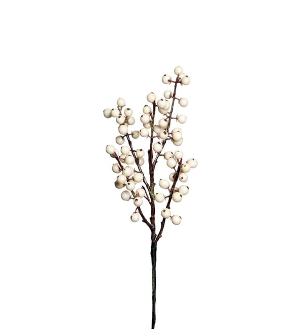 Bärkvist