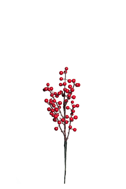 Bärkvist