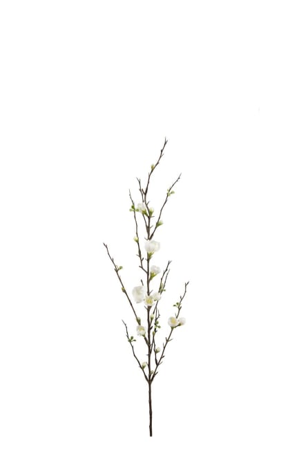 Äppelblom