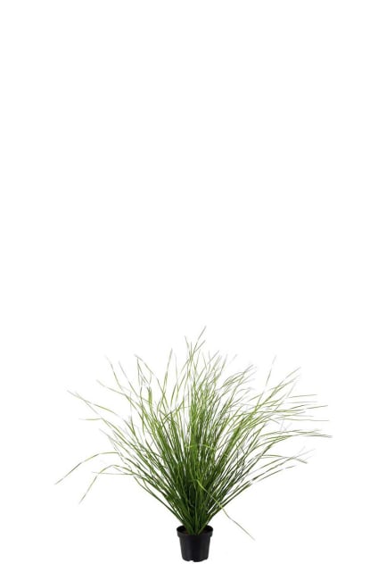 Gräs