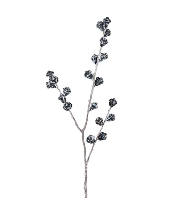 Eucalyptus