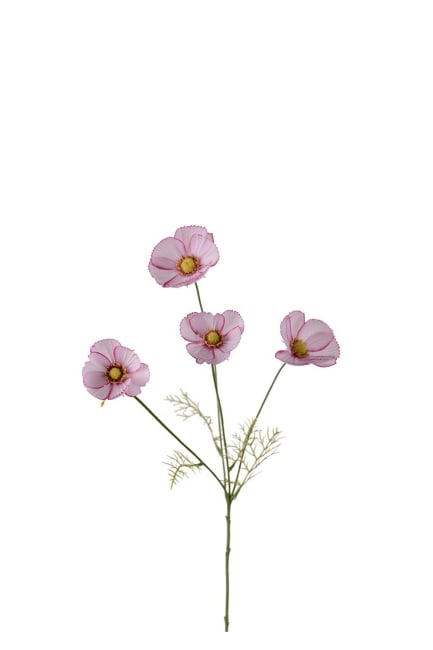 Rosenskära
