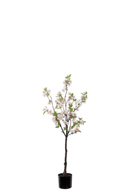Kirsebærblomst