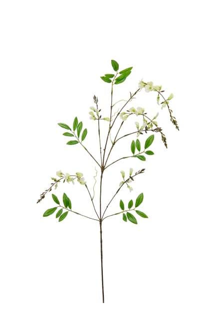 Visteria