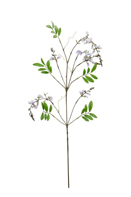 Visteria