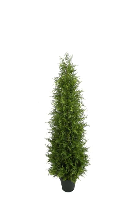 En