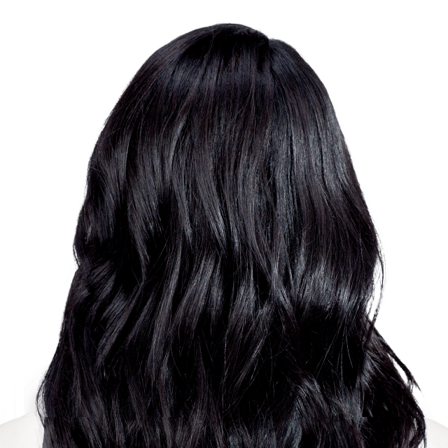 Perugia Black - Sapphire black hair color with hints of blue.