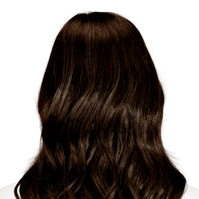 Dark Chocolate Brown Hair Color | Bolzano Brown | Hints Of Gold