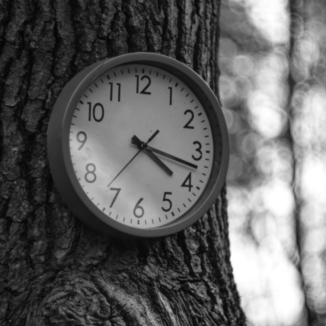 UV photograph of clock on a tree.