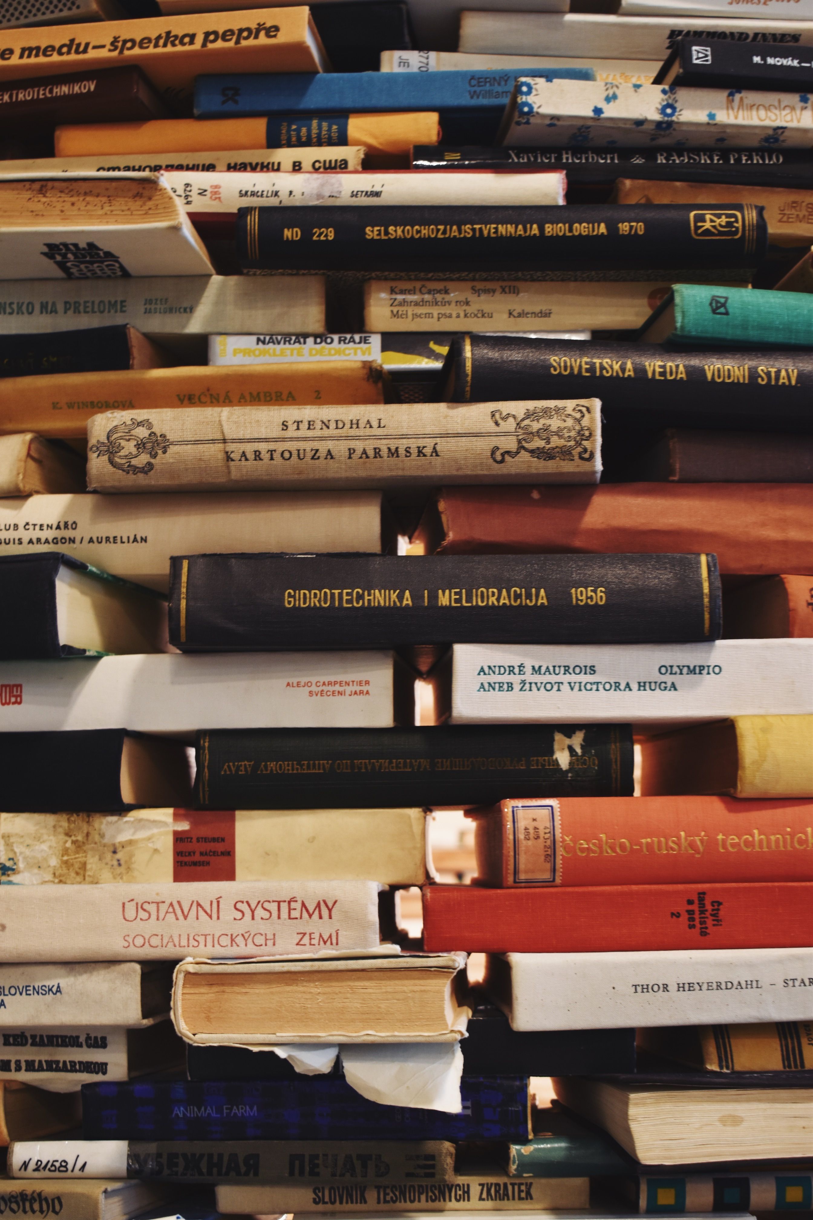 Entering the Official Document Translation Market