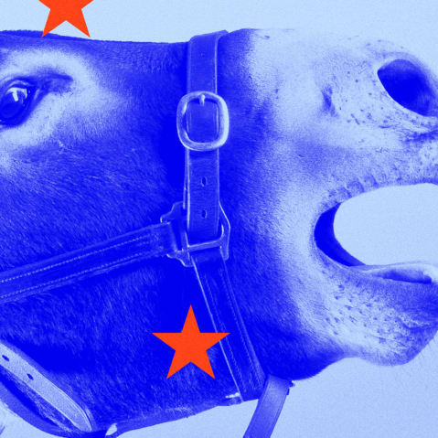 Photo illustraton of a donkey, overlaid in blue, braying at Donald Trump, overlaid in tan.