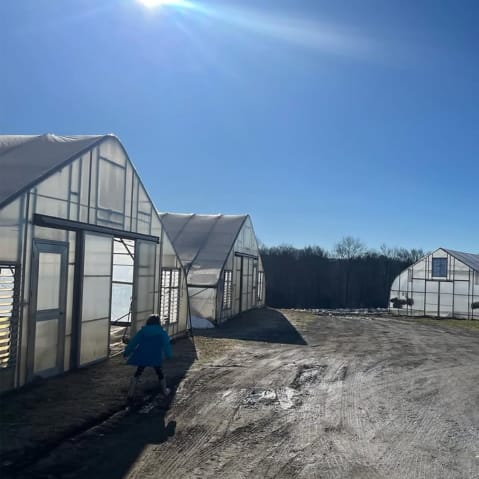 A child runs between greenhouses on a farm
