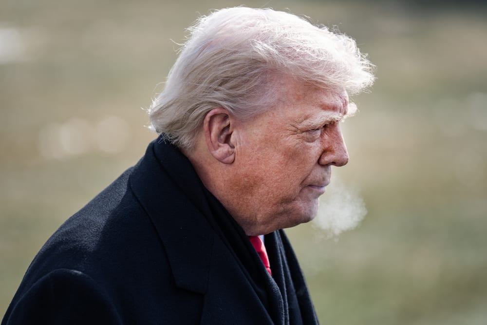 Donald Trump stands in the South Lawn, seen from the side.