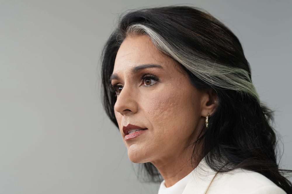 Tulsi Gabbard's profile is seen in a closeup photo.