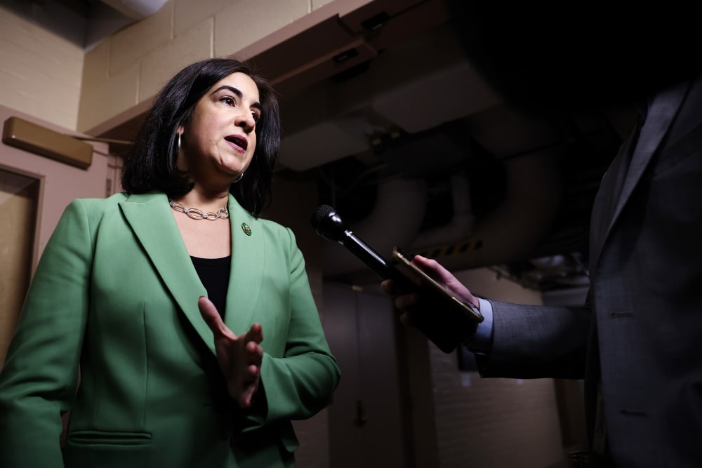 A reporter with a microphone stands in front of Nicole Malliotakis.