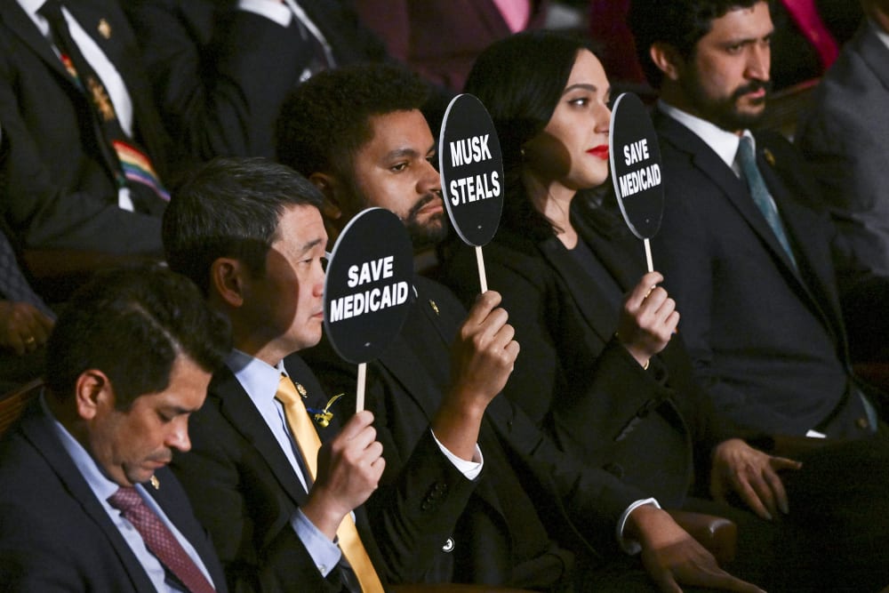Democratic lawmakers hold black and white signs that read " Save Medicaid" and "Elon Steals."