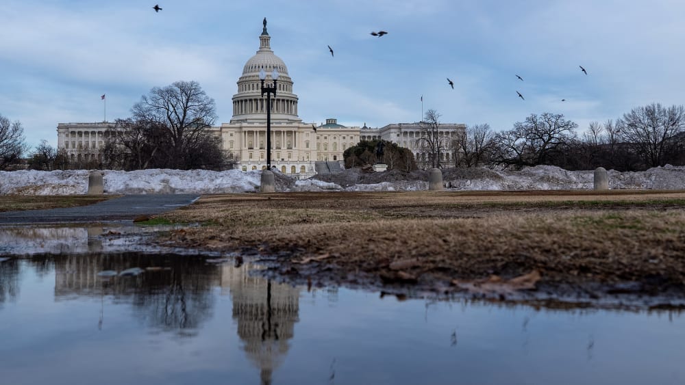 Birds fly around the Capitol, which is seen both in true form and as a reflection in a puddle.