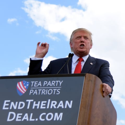 Donald Trump speaks at a podium on the bottom left of the frame while the dome of the capitol building covers the bottom right side of the frame.