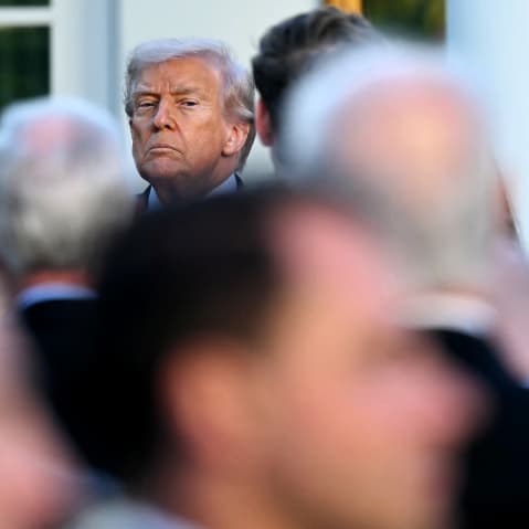 Donald Trump's face is seen among a crowd of people.